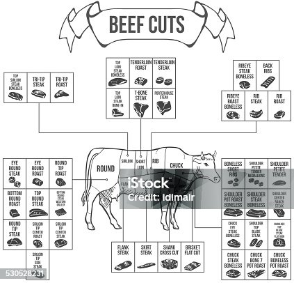 istock Scheme of Beef cuts for steak and roast. Vector 530528231