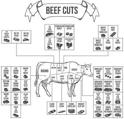 Scheme of Beef cuts for steak and roast. Vector