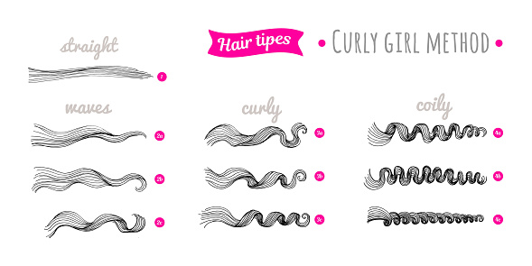 Scheme of curly hair of different types. Straight, waves, curly, coily hair. Curly hair type chart. Curly girl method.