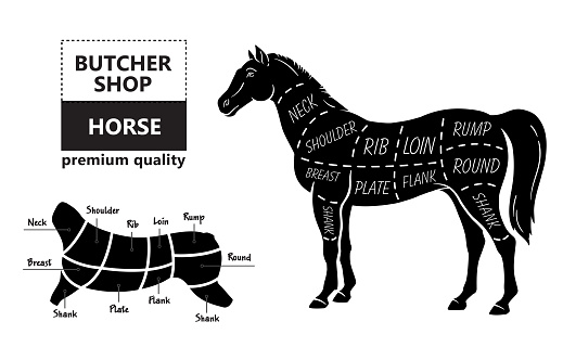 scheme-of-cutting-horse-meat-with-cutting-lines-design-for-butcher-vector-id944483298