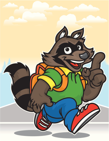 School Raccoon