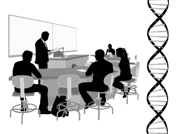 Science Class DNA Silhouette illustration of a science class at university with DNA diagram laboratory silhouettes stock illustrations