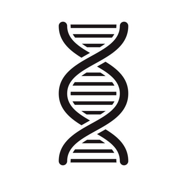DNA Science Glyph Icon A black glyph icon on a transparent background. You can place onto any coloured background (no white box behind icon). File is built in CMYK for optimal printing with a 100% black fill. dna icons stock illustrations