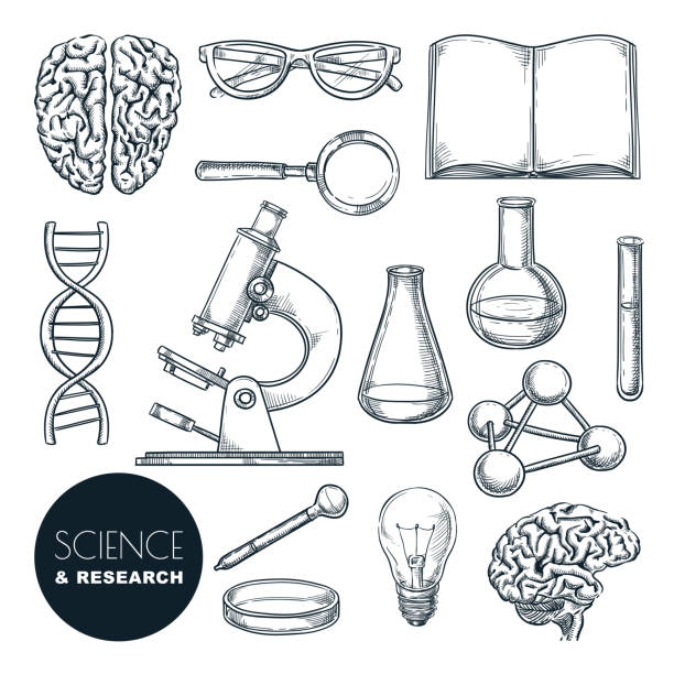 Science lab and chemistry research sketch vector illustration. Isolated hand drawn education icons set Science lab and chemistry research sketch vector illustration. Isolated hand drawn education icons set. Human brain, dna and laboratory equipment collection for chemical experiments. dna drawings stock illustrations