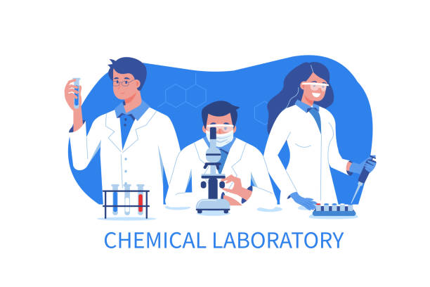 scientists Scientists at work. Flat vector illustration isolated on white background. chemical illustrations stock illustrations