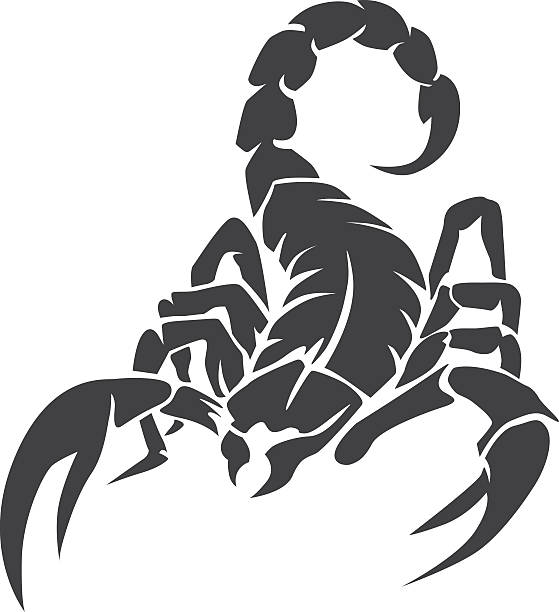 skorpion-schwarz - skorpion stock-grafiken, -clipart, -cartoons und -symbole