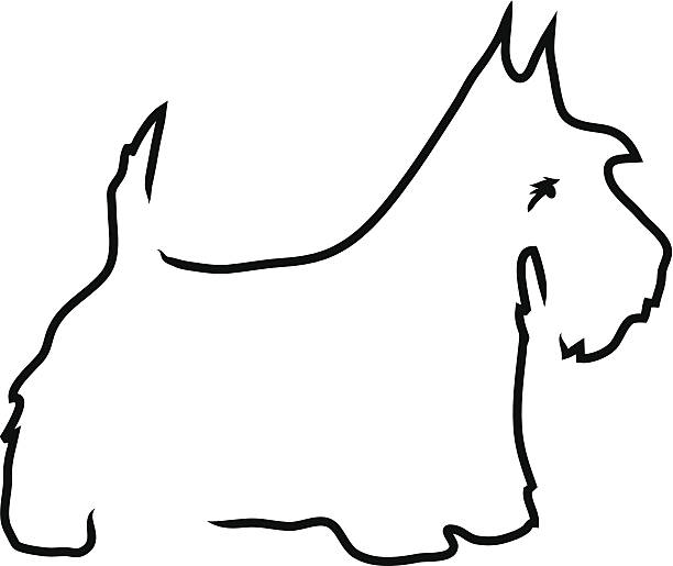 Drawing Vector Lines In Photo Cs : Scottish terrier clip art vector images illustrations