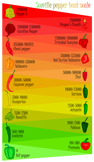 Scoville pepper heat scale. Pepper illustration from sweetest to very hot on color background.