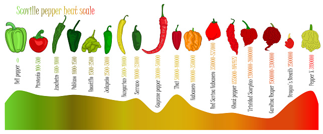 Scoville pepper heat scale. Pepper illustration from sweetest to very hot on color background.