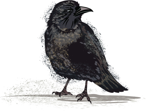 Scruffy Crow