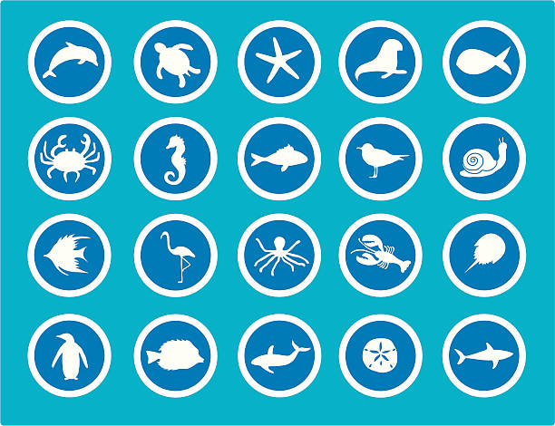 Sea Animal Icons vector art illustration