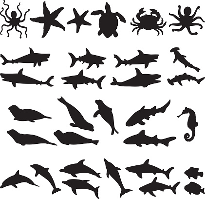 Sea Animal Silhouettes