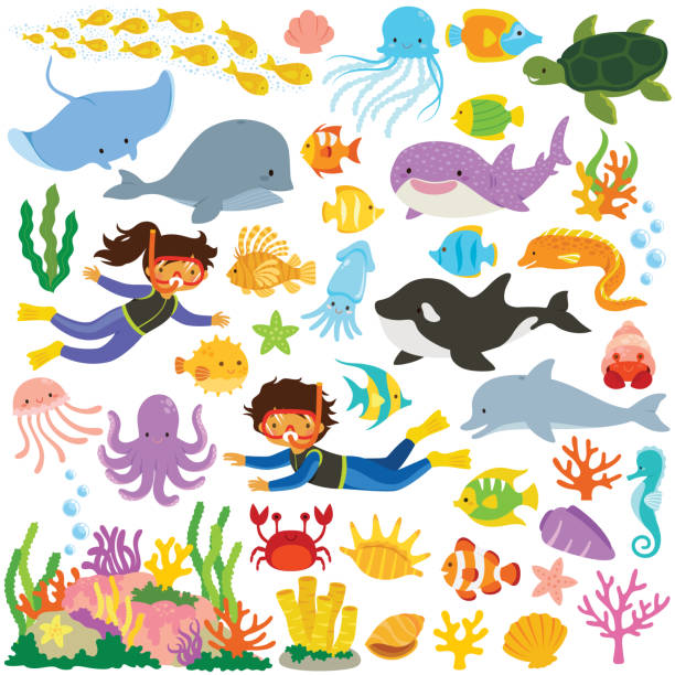 Sea animals collection Sea animals clip art set. Big collection of cartoon cute sea creatures and divers. marine life stock illustrations
