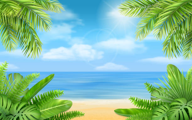 sea beach and tropical bushes Sea beach and tropical bushes. Vector background with exotic plants for design vacation or travel advertising card. beach backgrounds stock illustrations