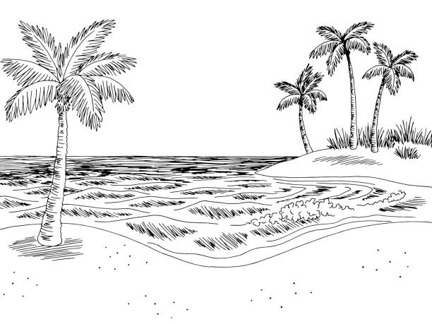 морское побережье графический пляж черный белый пейзаж эскиз иллюстрации ве...