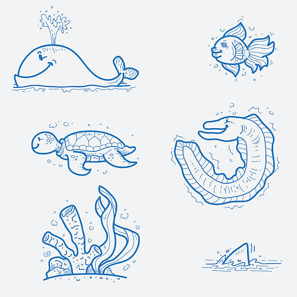바다빛 생물 - 전기뱀장어 stock illustrations