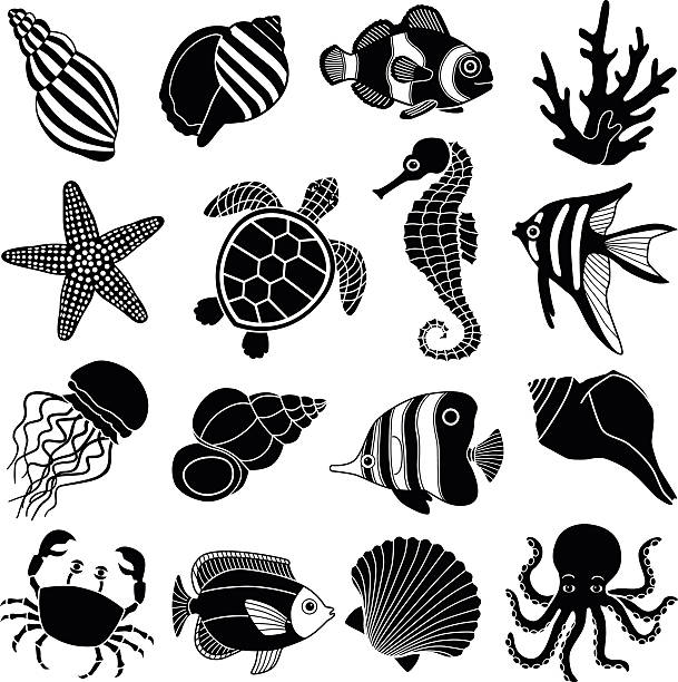 illustrations, cliparts, dessins animés et icônes de icônes d'animaux de mer - bulots