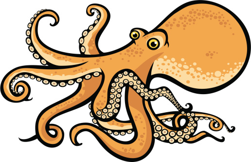 Sea creatures, octopus