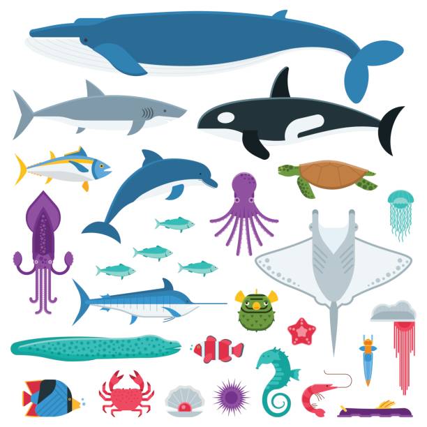 Sea Life and Underwater Animals and Fishes Underwater animals and sea creatures in cartoon style. Ocean and marine fishes and other aquatic life collection. Vector illustration of blue whale, devilfish, dolphin, orca, octopus, mollusks. marine life stock illustrations