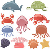 Various Sea life Animals shark, Turtle, scrub, octopus, oyster, dragonfly, shell, lobster, starfish vector illustration. 