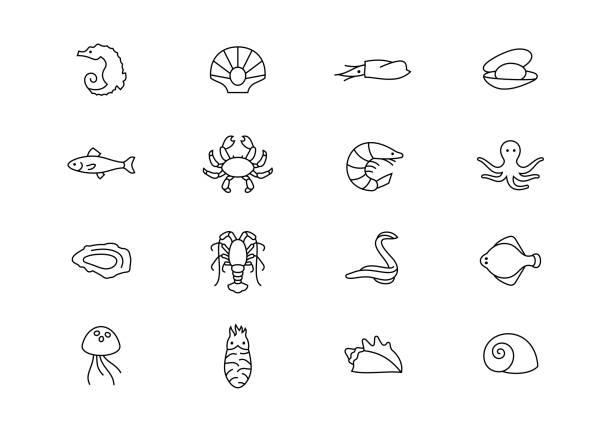 bildbanksillustrationer, clip art samt tecknat material och ikoner med sea liv tunn linje vektor ikoner. redigerbar linje - shellfish