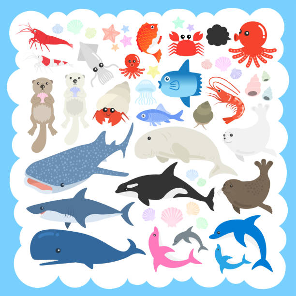 Sea Otter Vector Art Icons And Graphics For Free Download