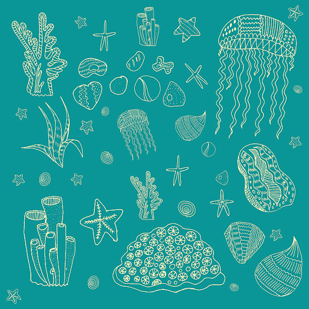 морской рисунок - medusa stock illustrations