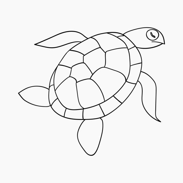 морская черепаха ручной нарисованный каракули наброски. подводный обитатель...
