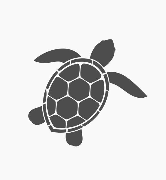 икона морской черепахи - a of a sea turtle pic stock illustrations.