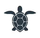 istock Sea turtle icon. 865892832