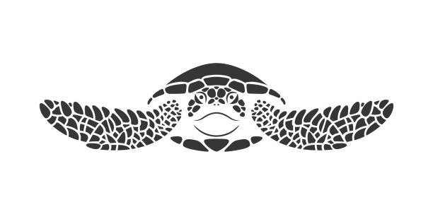 Sea turtle logo. Isolated turtle on white background. Reptile EPS 10. Vector illustration turtle stock illustrations