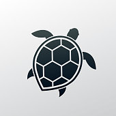 istock sea turtle 1052981306