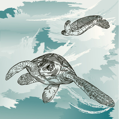 Sea Turtles Underwater