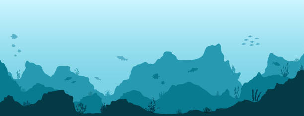 Sea underwater background. Marine sea bottom with underwater plants, corals and fishes. Panoramic seascape. Sea underwater background. Marine sea bottom with underwater plants, corals and fishes. Panoramic seascape. Vector illustration. sea silhouettes stock illustrations