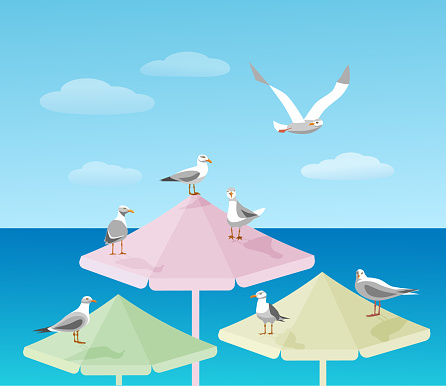 Sea view landscape with seagulls and beach umbrella