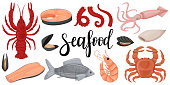 Seafood set. Raw squid, octopus, red fish, fillet,mussels, crab, crayfish, butchered squid, salmon steak. A collection in a flat cartoon style. Color vector illustration isolated on a white background