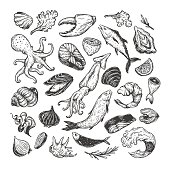 Vector seafood, hand drawn illustrations. Set of seafood products. Different types of fish (salmon, tuna, sardine), mollusk (mussels, oysters) and other underwater creatures.