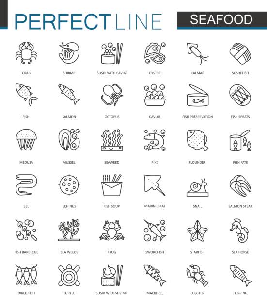 illustrations, cliparts, dessins animés et icônes de fruits de mer fine ligne web icônes définies. nourriture pour poissons restaurant menu contour contour icônes design. - filet de poisson