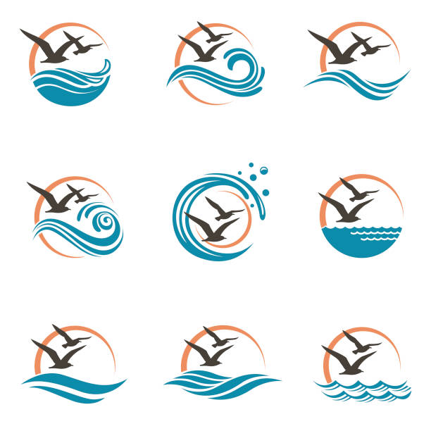 seagull logo design abstract design of ocean logo with waves and seagulls seagull stock illustrations