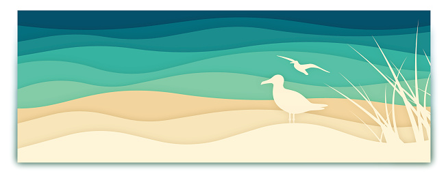 Seagull ocean banner with space for your copy. EPS 10 file. Transparency effects used on highlight elements.