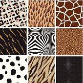 A collection of abstract animal background pattern, based on Leopard, Jaguar, Tiger, Giraffe, zebra, cow,  and snake skin.