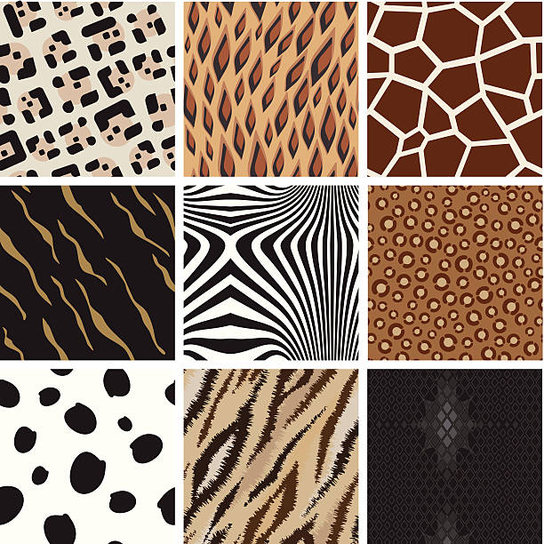 Seamless abstract animal background pattern A collection of abstract animal background pattern, based on Leopard, Jaguar, Tiger, Giraffe, zebra, cow,  and snake skin. animal markings stock illustrations