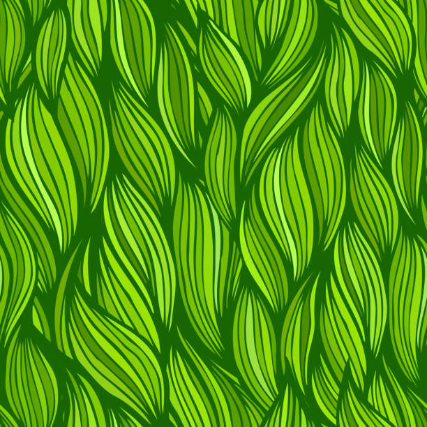 Seamless Abstract Hand-Drawn Ppattern Vector illustration  grass designs stock illustrations