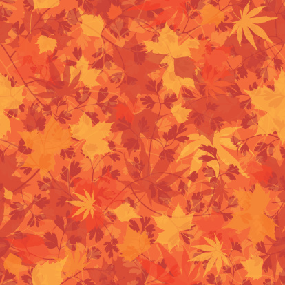 Seamless autumn leaf wallpaper.  Pattern will tile endlessly vector