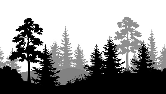Seamless Background, Summer Forest Silhouettes