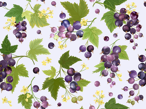 Seamless black currant pattern with summer berries, fruits, leaves, flowers background. Vector illustration in watercolor style for spring cover, tropical wallpaper texture, backdrop, wedding invitation