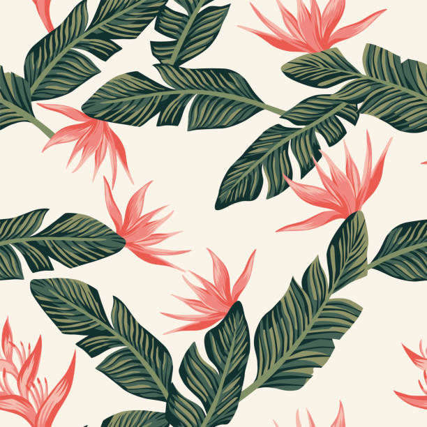 Seamless composition from dark green tropical banana leaves and flowers light yellow background Beach cheerful seamless pattern wallpaper of tropical dark green leaves of palm trees and flowers bird of paradise (strelitzia) on a light yellow background bird of paradise plant stock illustrations