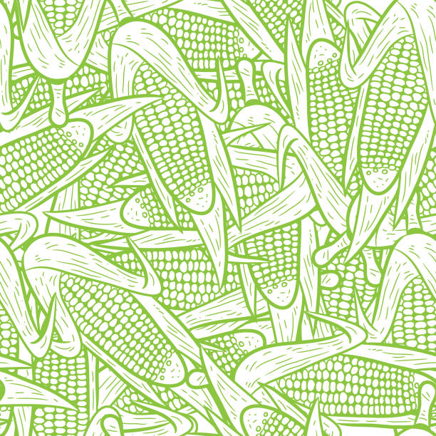 seamless corn pattern vector seamless corn pattern vector, hand drawing corn stock illustrations