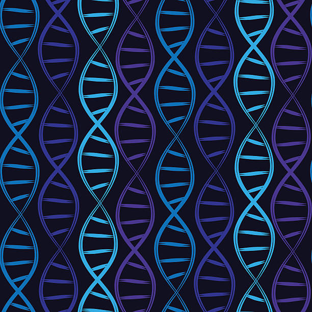 Seamless DNA pattern DNA pattern helix model stock illustrations