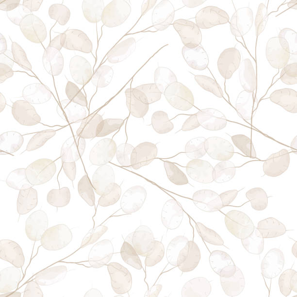 シームレスな乾燥月の花のベクトルパターン。水彩画冬の結婚式の花のイラストの背景。bohoデザイン印刷可能なテンプレート、最小限の植物素朴な織物の装飾 - 花柄点のイラスト素材／クリップアート素材／マンガ素材／アイコン素材